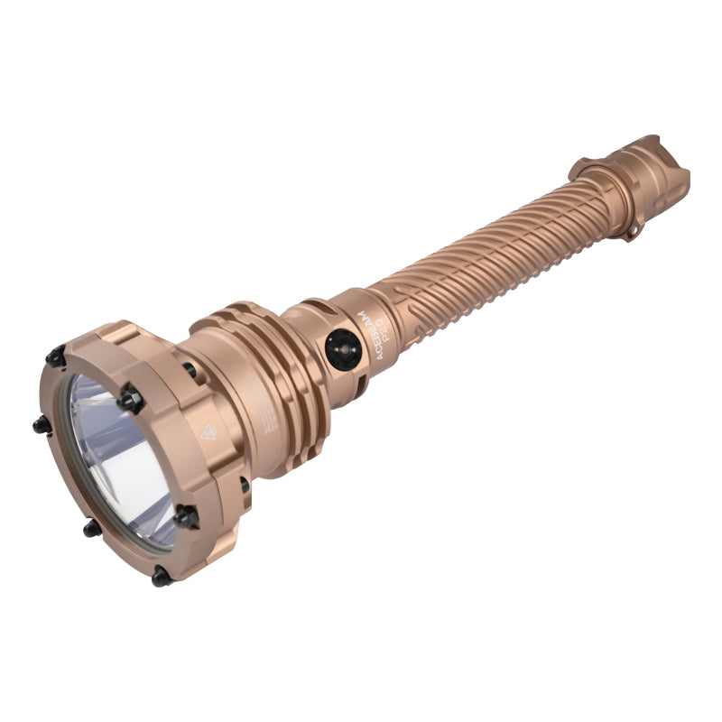 P20 Professional Long Distance Flashlight